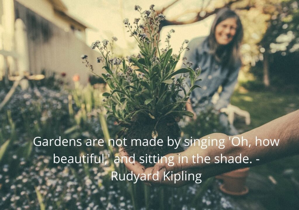 Top Gardening Quotes | quotes About gardening