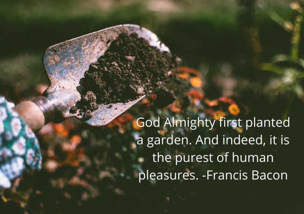 Top Gardening Quotes | quotes About gardening